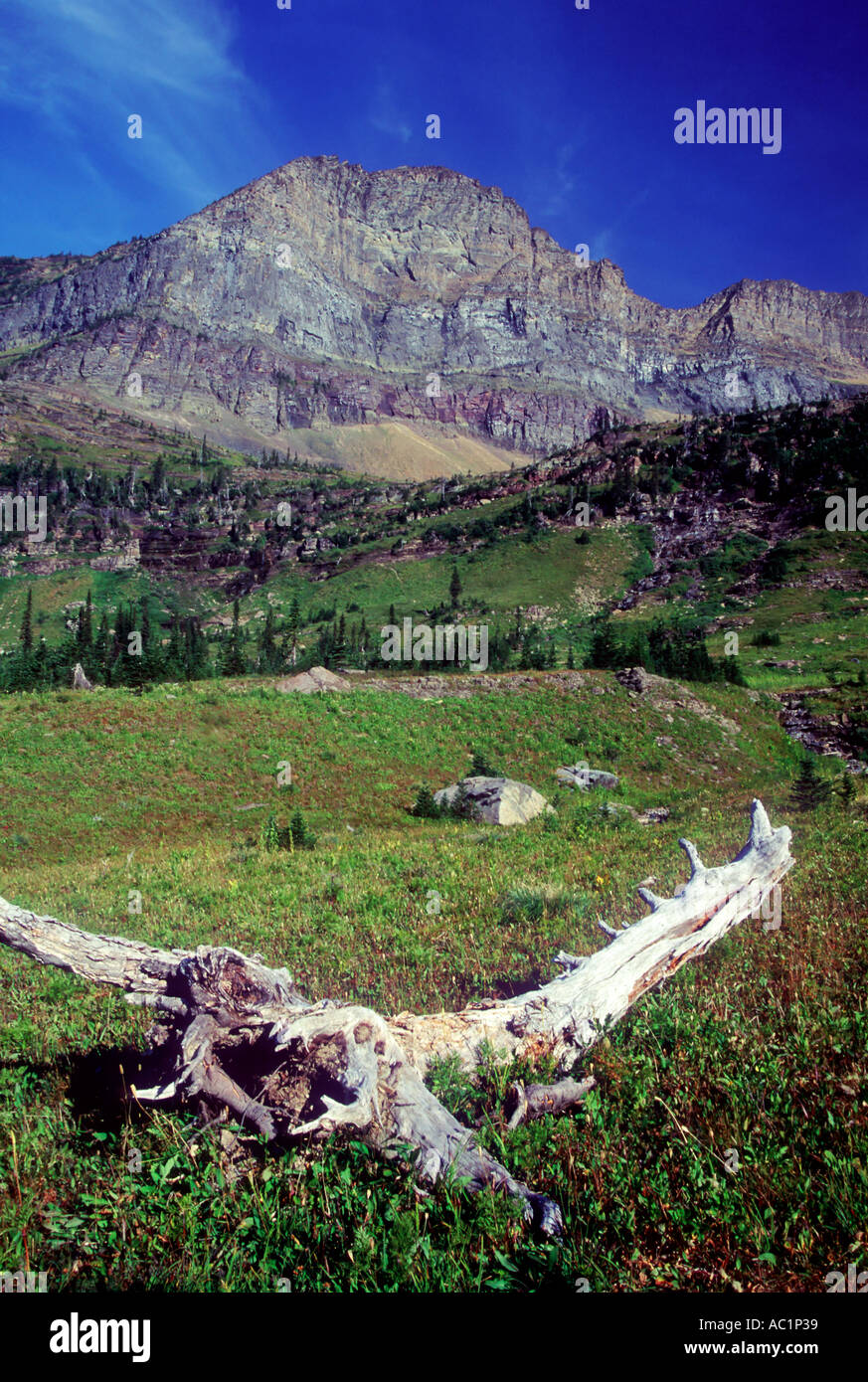 Mt Custer above the meadows of Hole in the Wall Glacier National Park ...