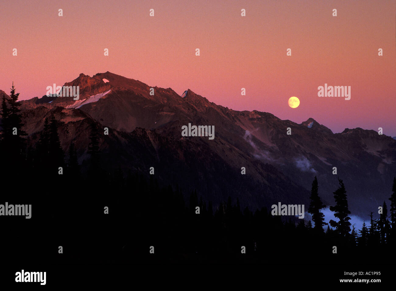 A full moon rises over the shoulder of Mount Carrie at dusk Olympic Natoinal Park Washington Stock Photo