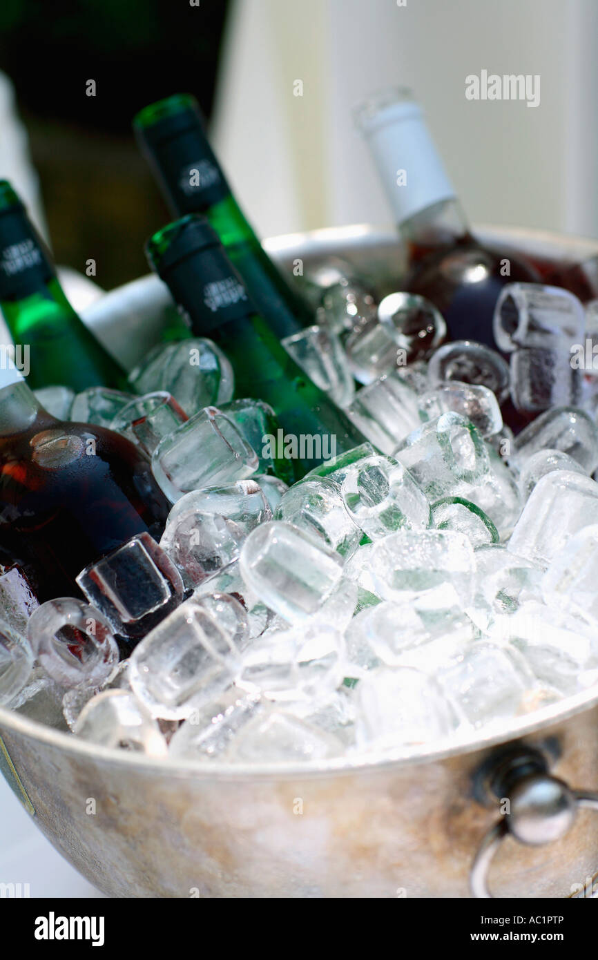 Vine bottles in ice bucket Stock Photo Alamy