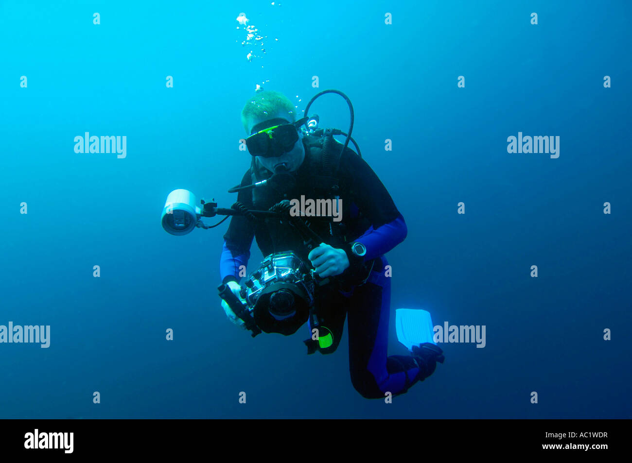 Diver with underwatercamera, Galapagos Stock Photo Alamy