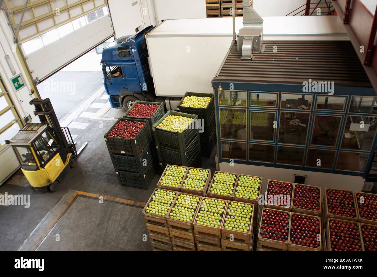 Apple packing and transportation Stock Photo Alamy
