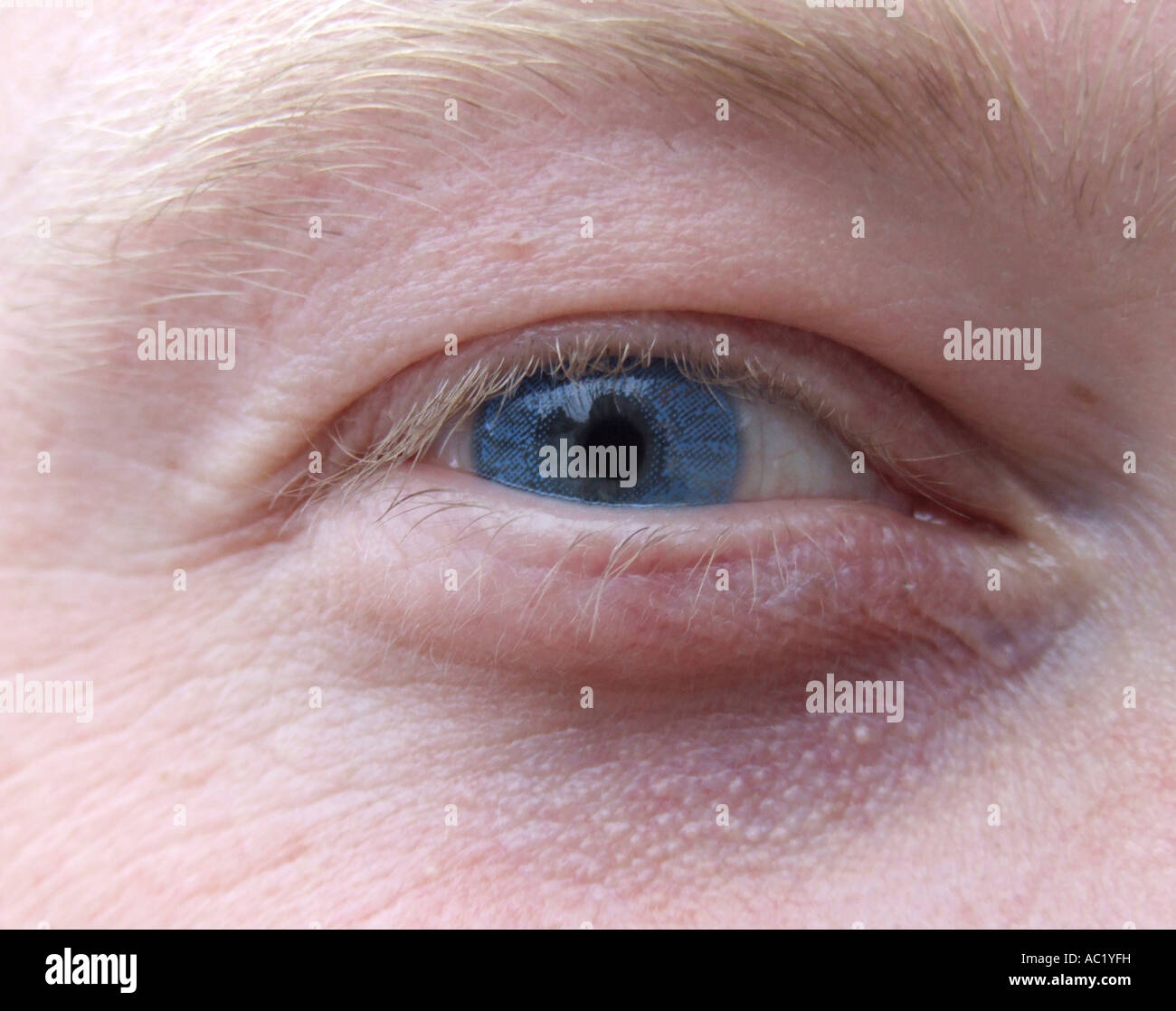 Human eye close up Stock Photo