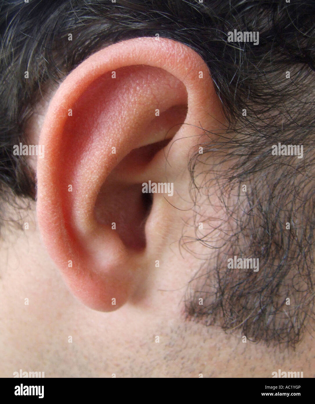Human ear close up Stock Photo