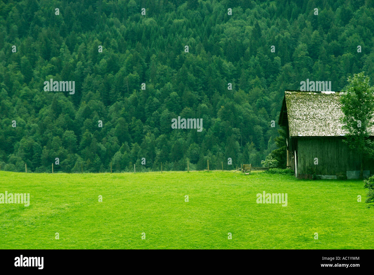 Austria Bregenzer Wald Hut in meadow Stock Photo