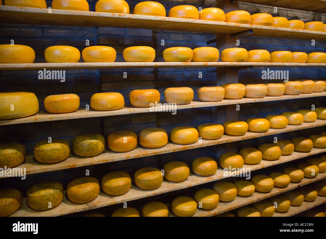 Display of cheese at cheese factory near Amsterdam in ...