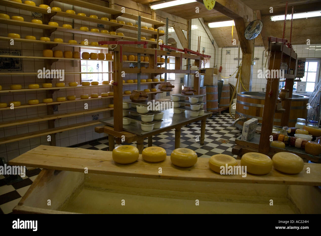 Dutch cheese display in Holland cheese factory near Amsterdam Stock