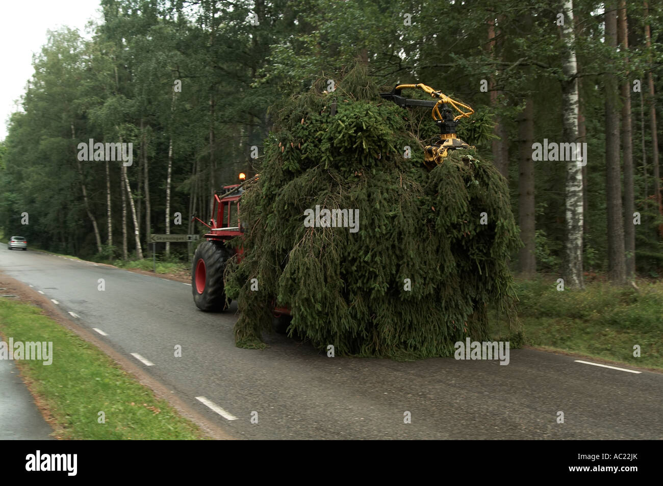 tree, felling, timber, surgeon, tractor, leaves, green, wide, load, logging, industry, Stock Photo