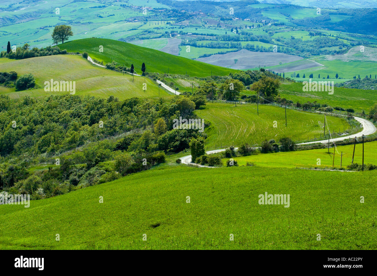 Italy Landscae Rural Rural countryside landscape in Tuscany region of Italy Stock Photo - Alamy