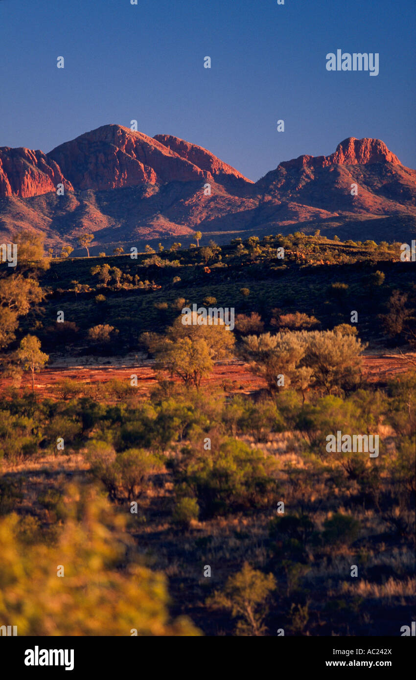 Mount Sonder West MacDonnells National Park, Central Australia, vertical, Stock Photo