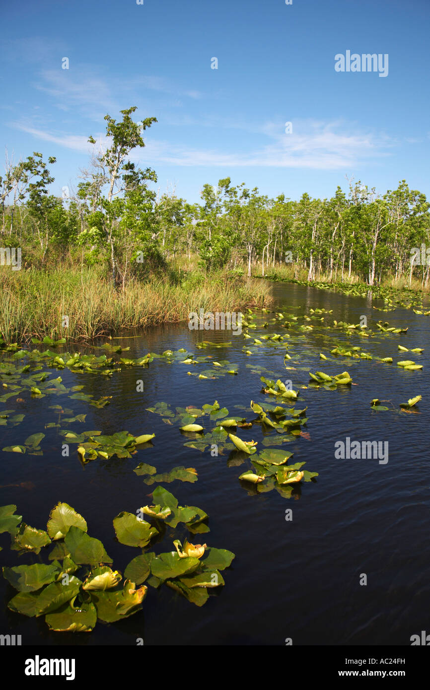 Suwannee River in the Lower Suwannee National Wildlife Refuge on the Gulf coast of Florida Stock