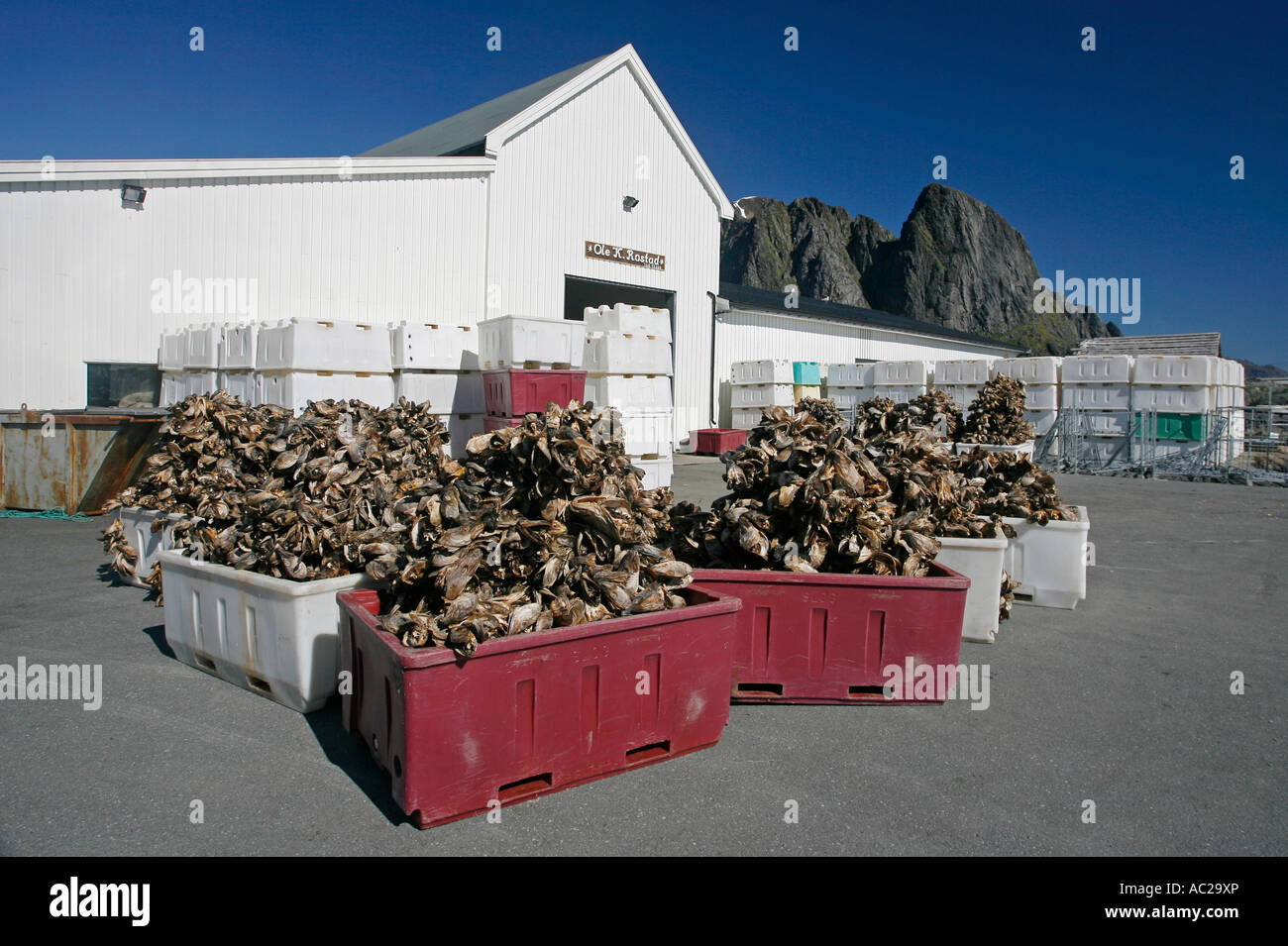 Dried fish export warehouse Sakrisøy Lofoten Islands Norway Europe