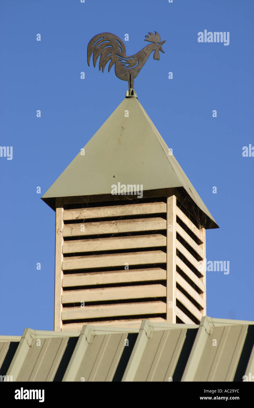 WEATHER VANE ON THE TOP OF A BARN VERTICAL BAPDB7843 Stock Photo - Alamy