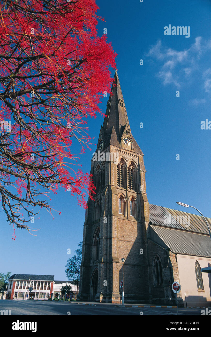 Anglican cathedral and flame tree Grahamstown East Cape South Africa Stock Photo