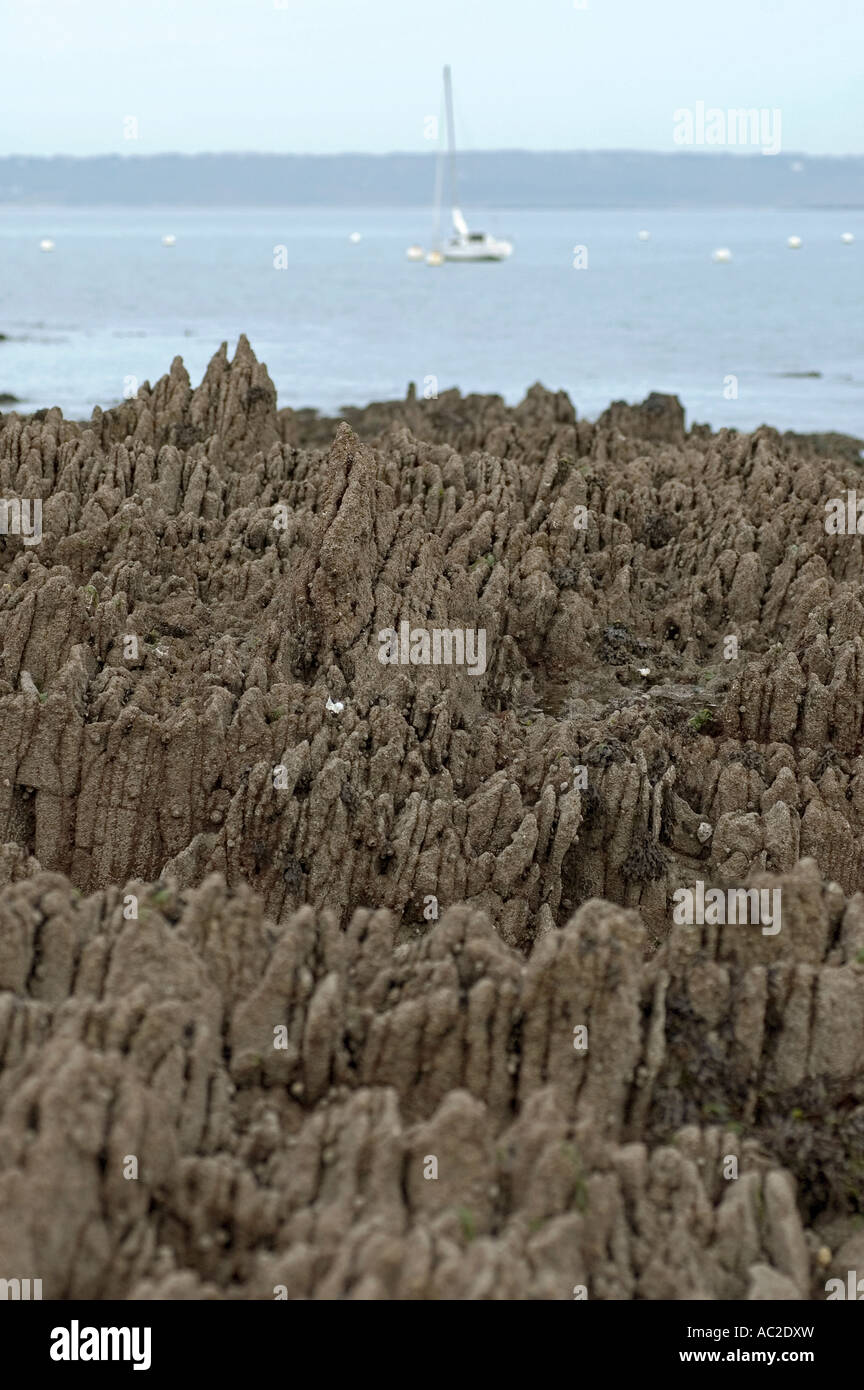 landscape stony strand at the coast in Locquirec in Finistere Brittany ...