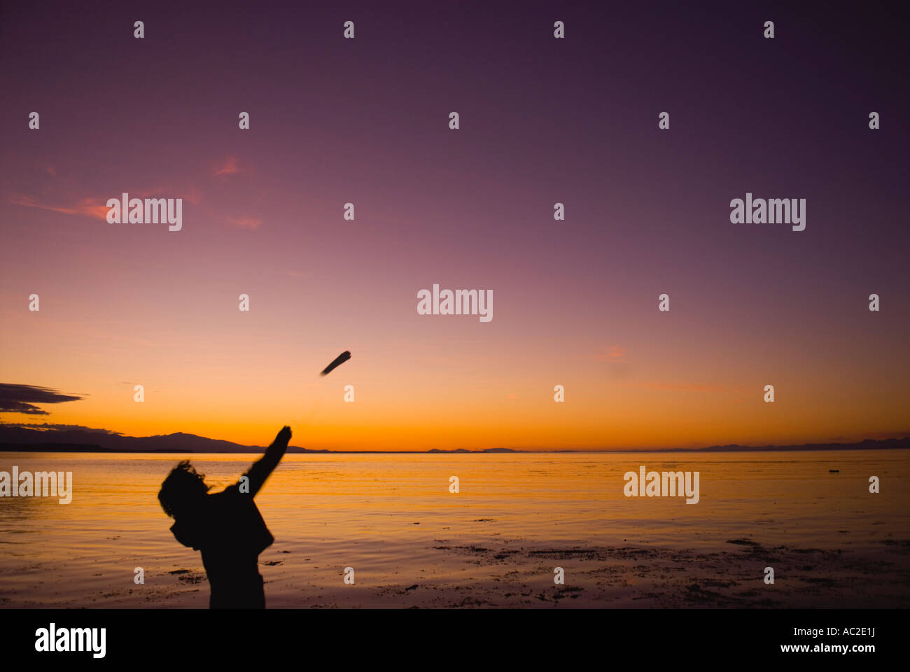 Boy throwing a stick into the ocean at twilight Stock Photo Alamy