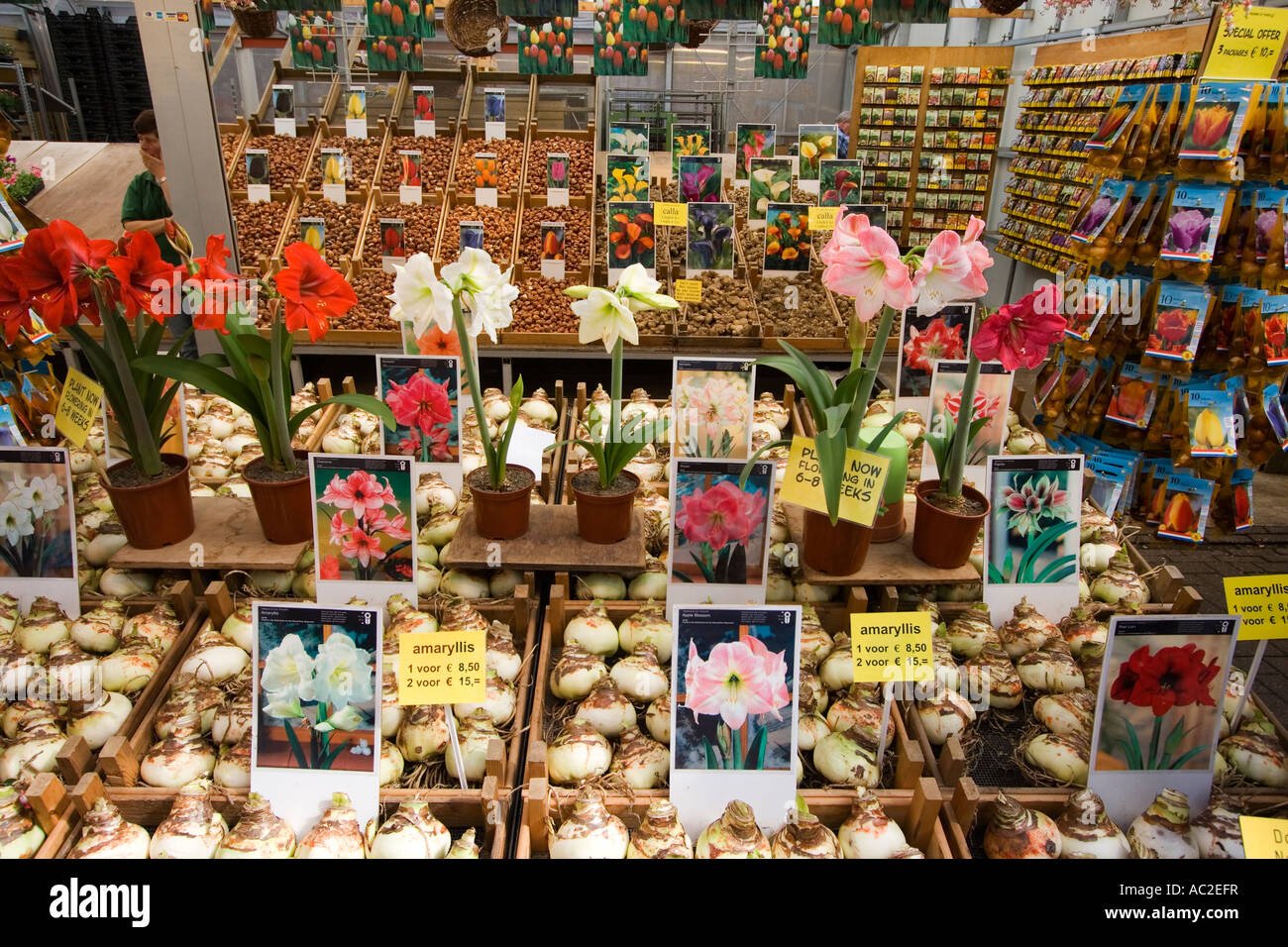 Amsterdam flower market seeds Stock Photo