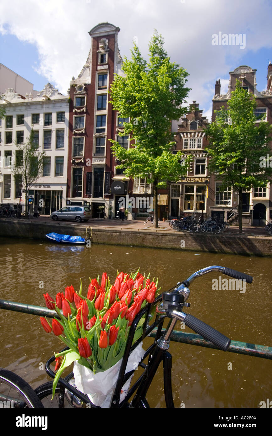 Amsterdam Single Gracht bicycle with tulips Stock Photo