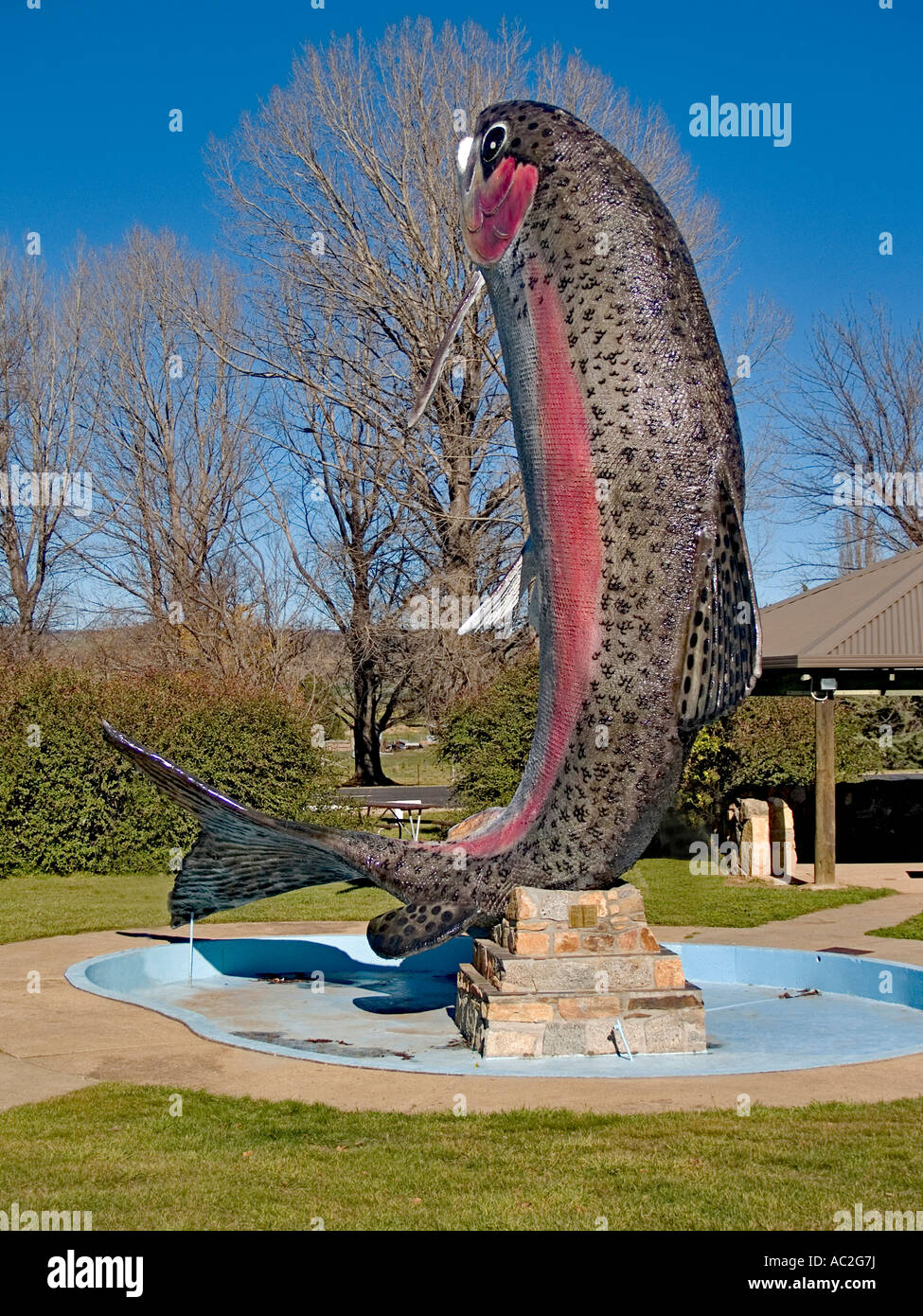 Big Trout sculpture, Adaminaby, Snowy Mountains, New South Wales