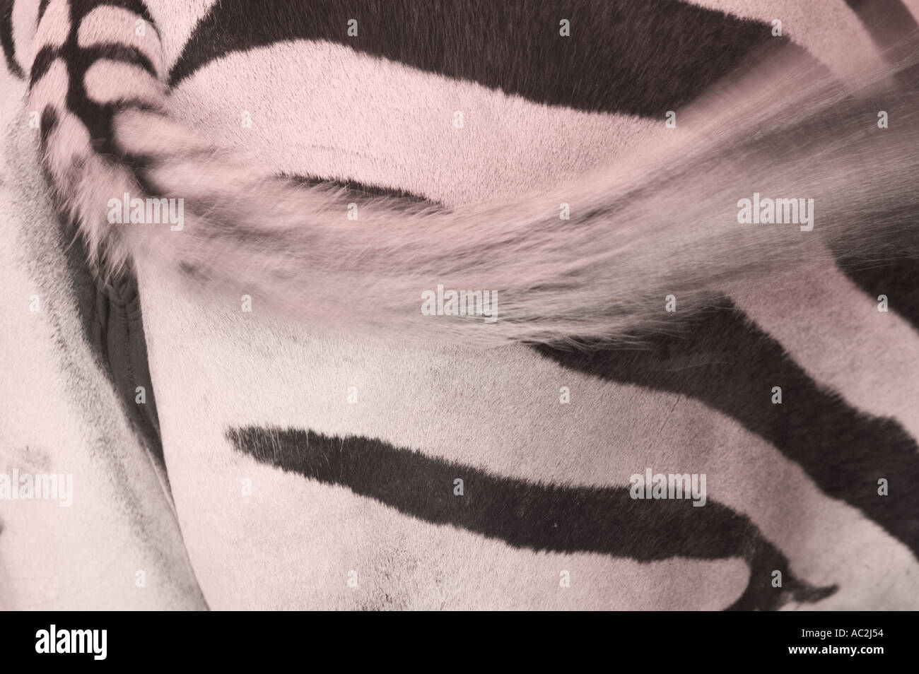 Sorry, photography of the anus Consider, that photography of the anus assured, that