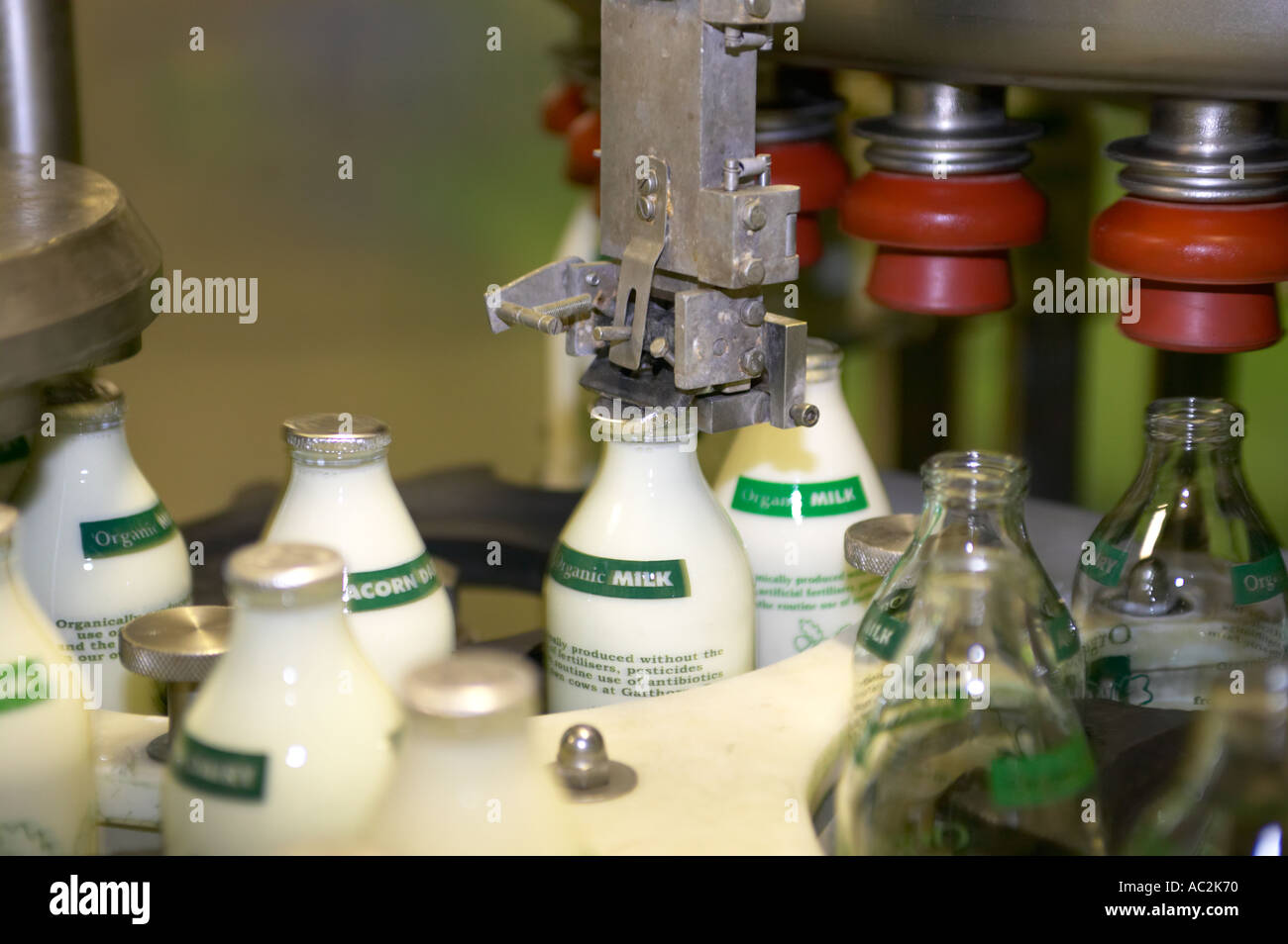 Milk bottling hires stock photography and images Alamy