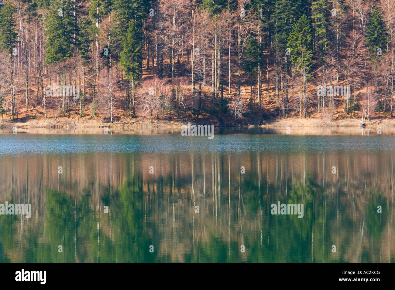 Lokve lake in Croatia breathtaking breathtakingly beautiful atmospheric photogenic Stock Photo