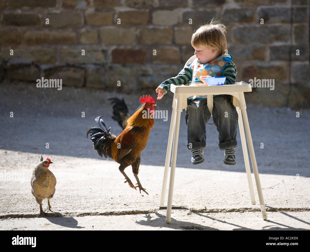 A young boy sits in his high chair and feeds chickens while on holiday on a farm in North Yorkshire England UK Stock Photo