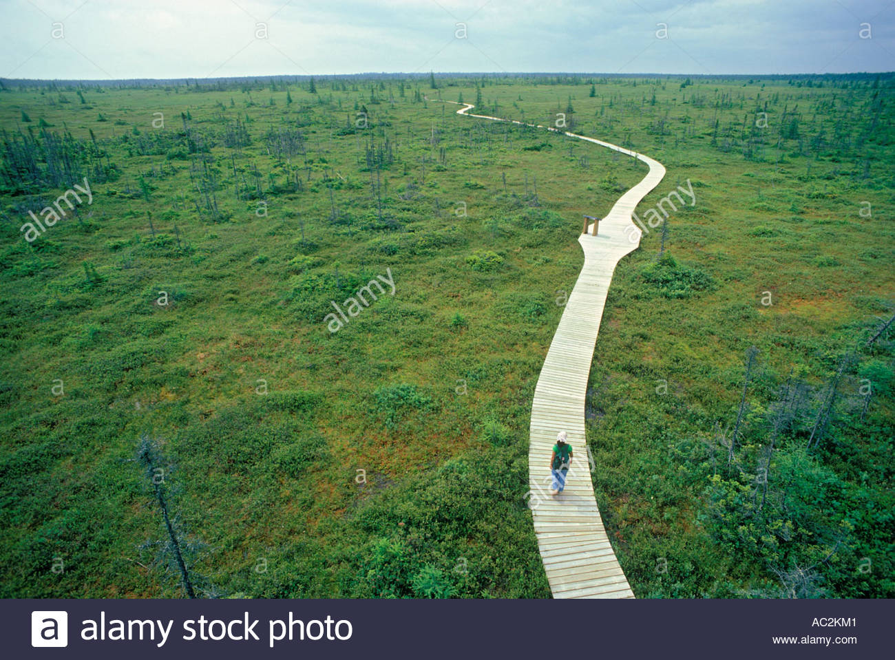 Kouchibouguac National Park High Resolution Stock Photography and