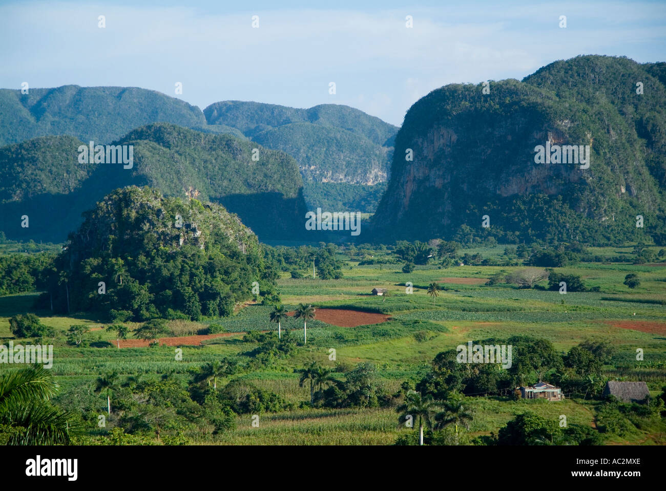 Cuban countryside in the Vinales Valley, Cuba. Stock Photo