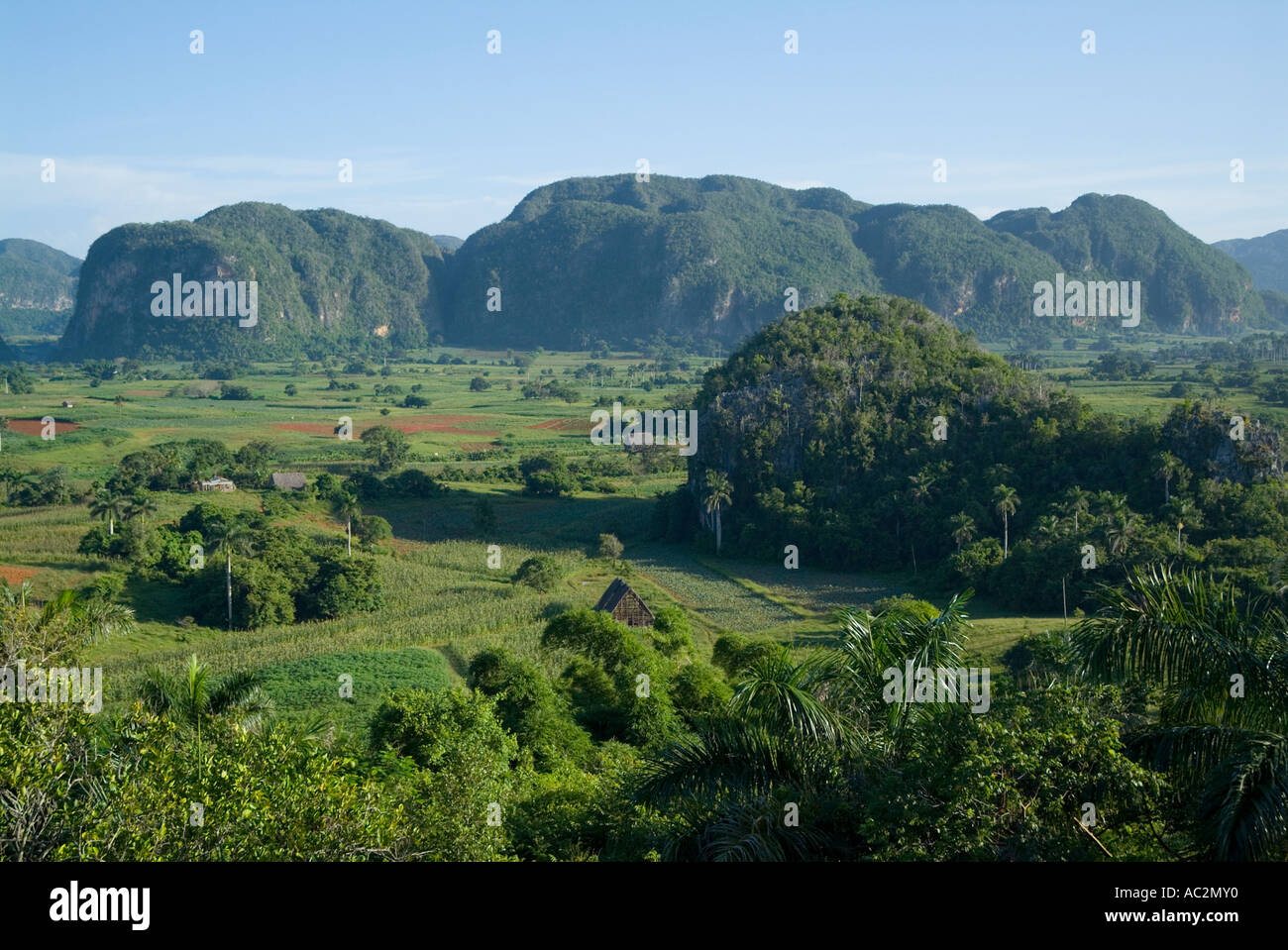 Vinales Valley, Cuba Stock Photo