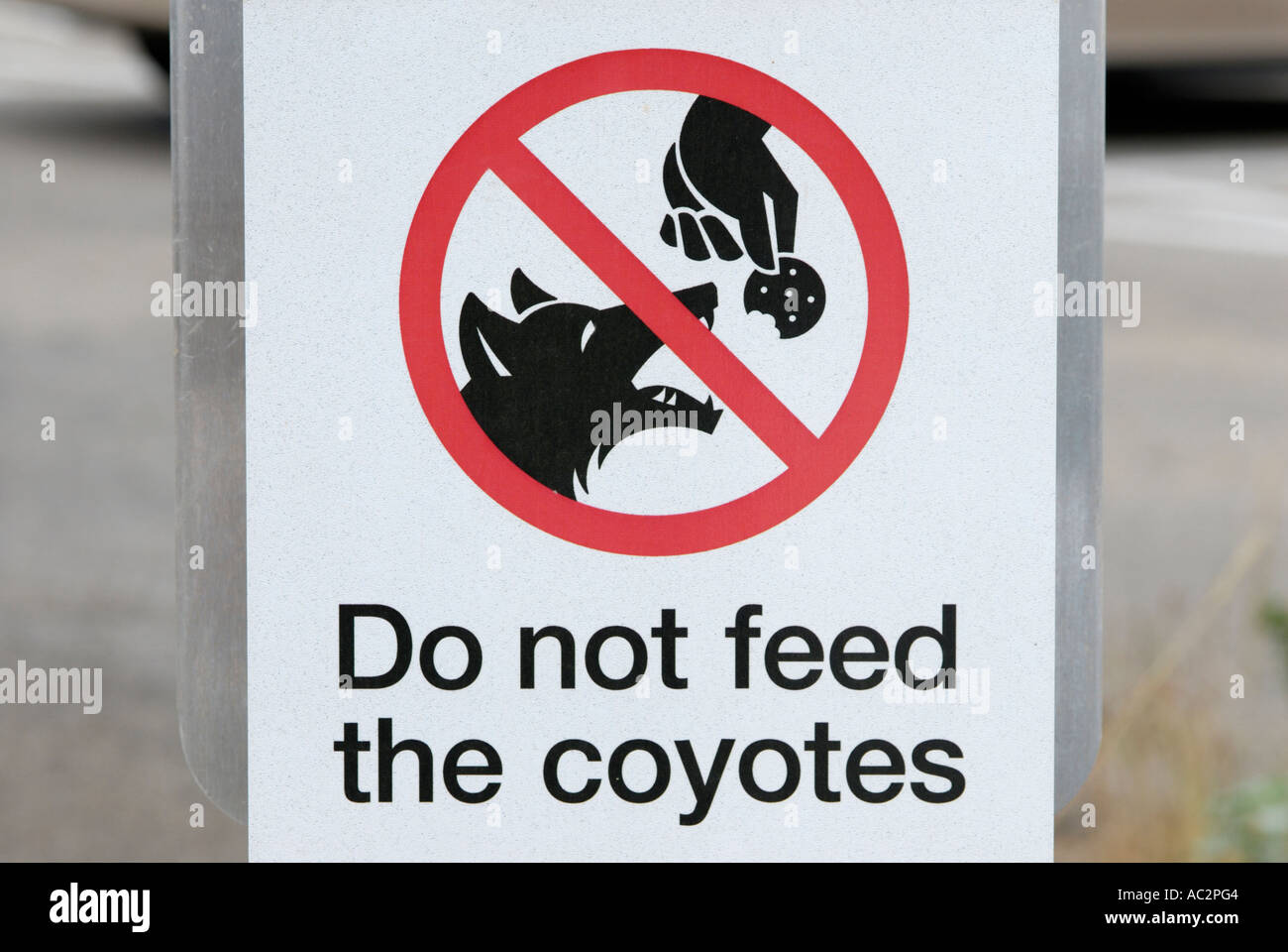 Do not feed coyotes sign, parking lot, Arizona-Sonora Desert Museum, Arizona, USA Stock Photo