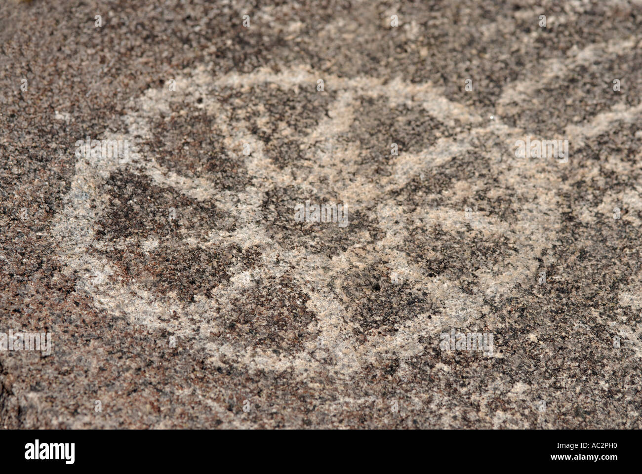 Native American petroglyph rock art, Signal Hill, Saguaro National Park, Arizona, USA Stock Photo