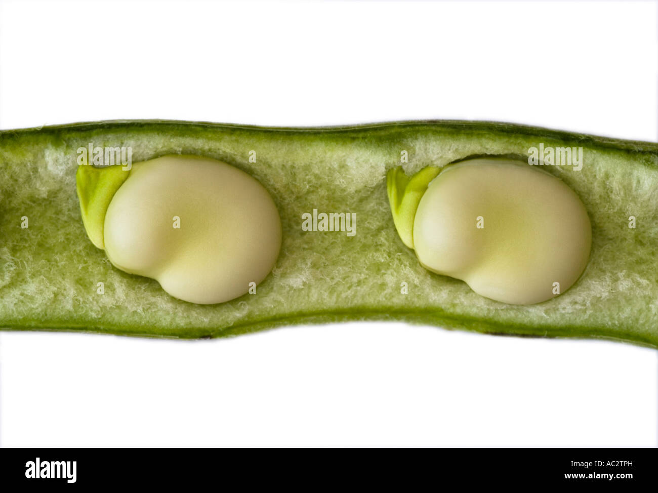 Vegetable broad green pod hi-res stock photography and images - Alamy