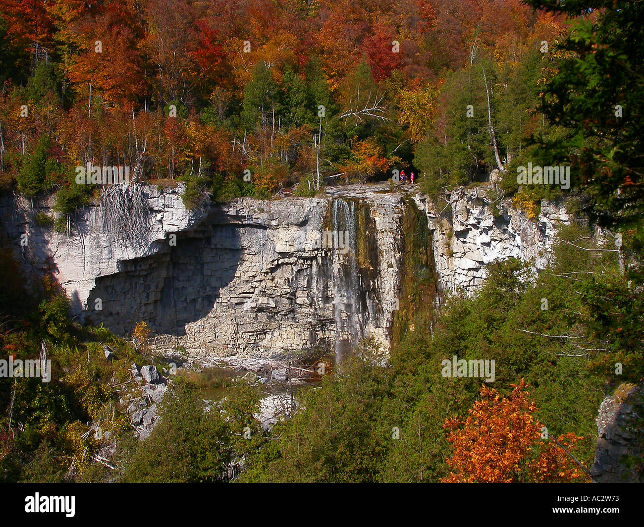 Eugenia Falls on the Niagara Escarpment with Fall foliage Ontario Stock Photo