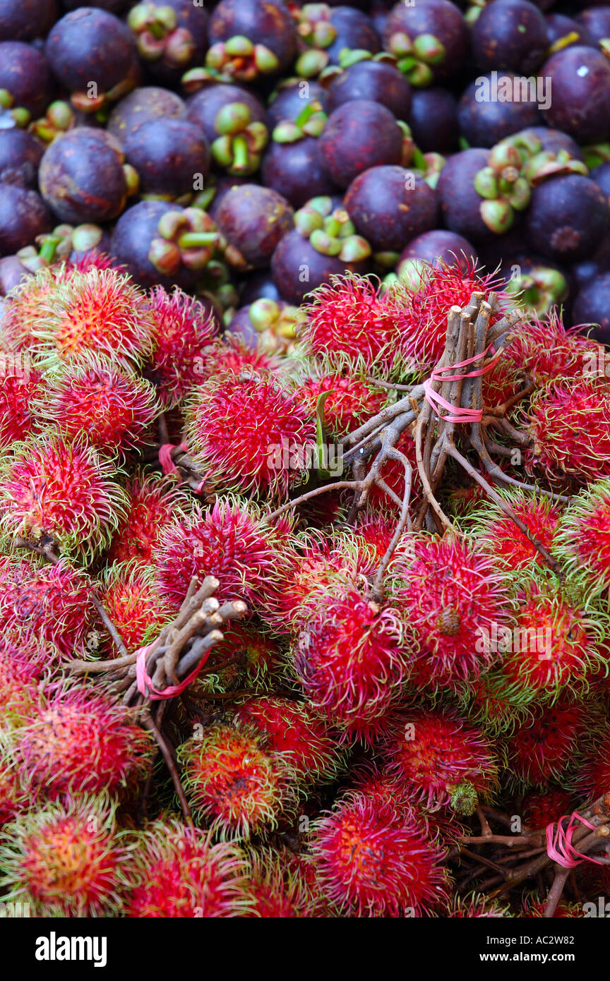 Exotic red rambutan and purple Mangosteen fruit Stock Photo Alamy