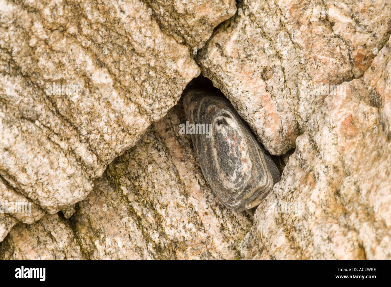 Banded gneiss metamorphic rock, the coast of Lewis near Rubha Bhlanisgaidh, Outer Hebrides, Western Isles, Scotland, UK Stock Photo
