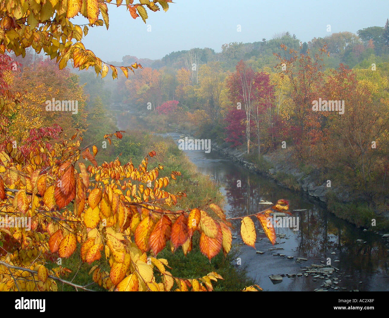 Humber river on a misty morning with trees in Fall colors Toronto Stock Photo