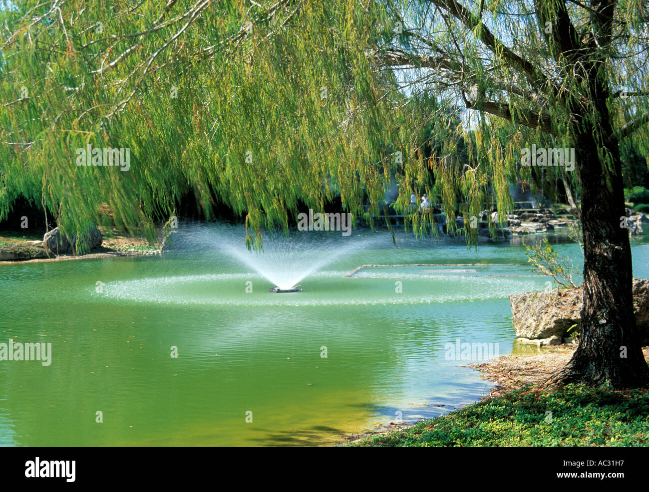 caribbean botanical garden with large water fountain Stock Photo