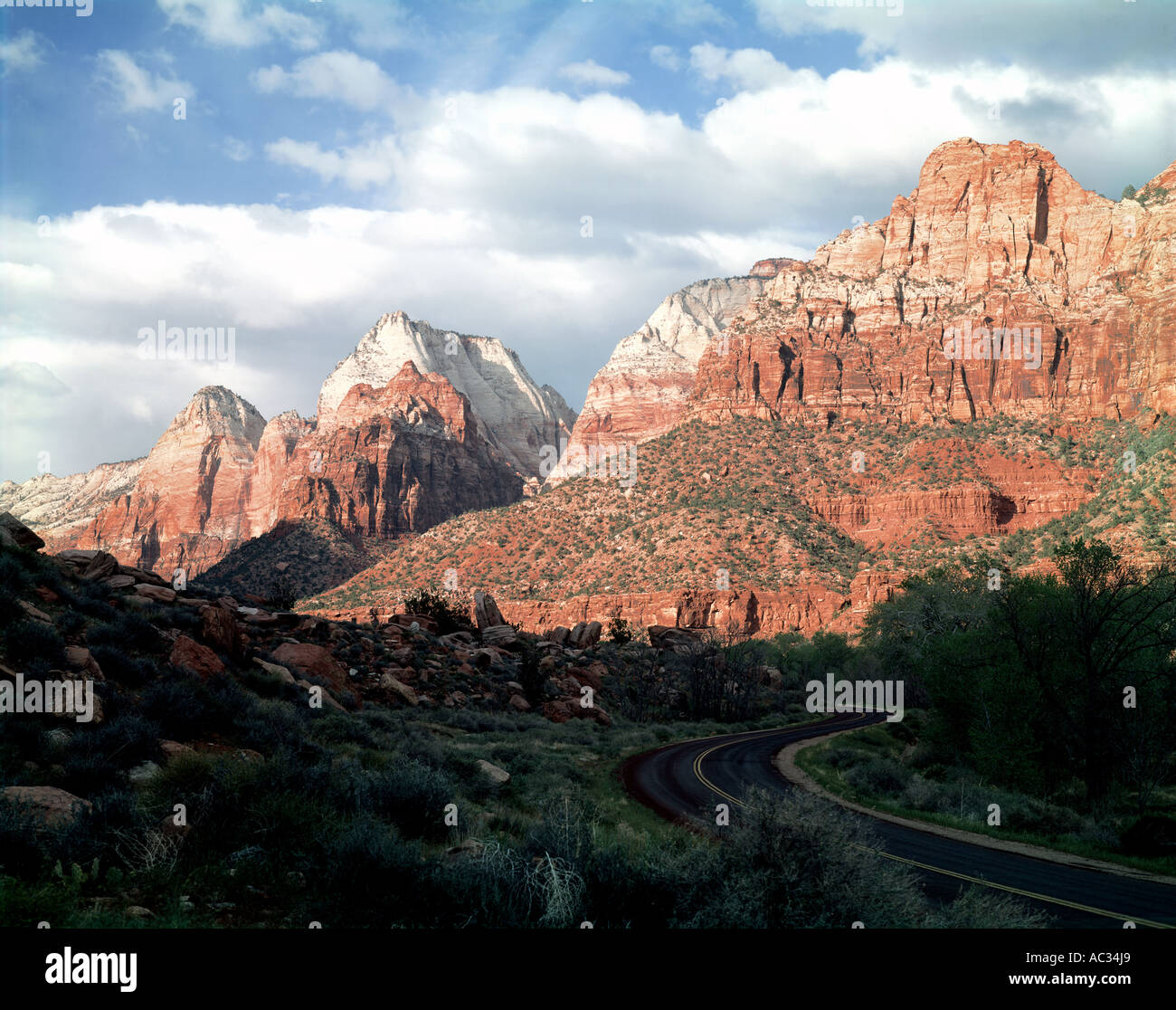 Towering peaks glow with late afternoon lighting in Zion National Park