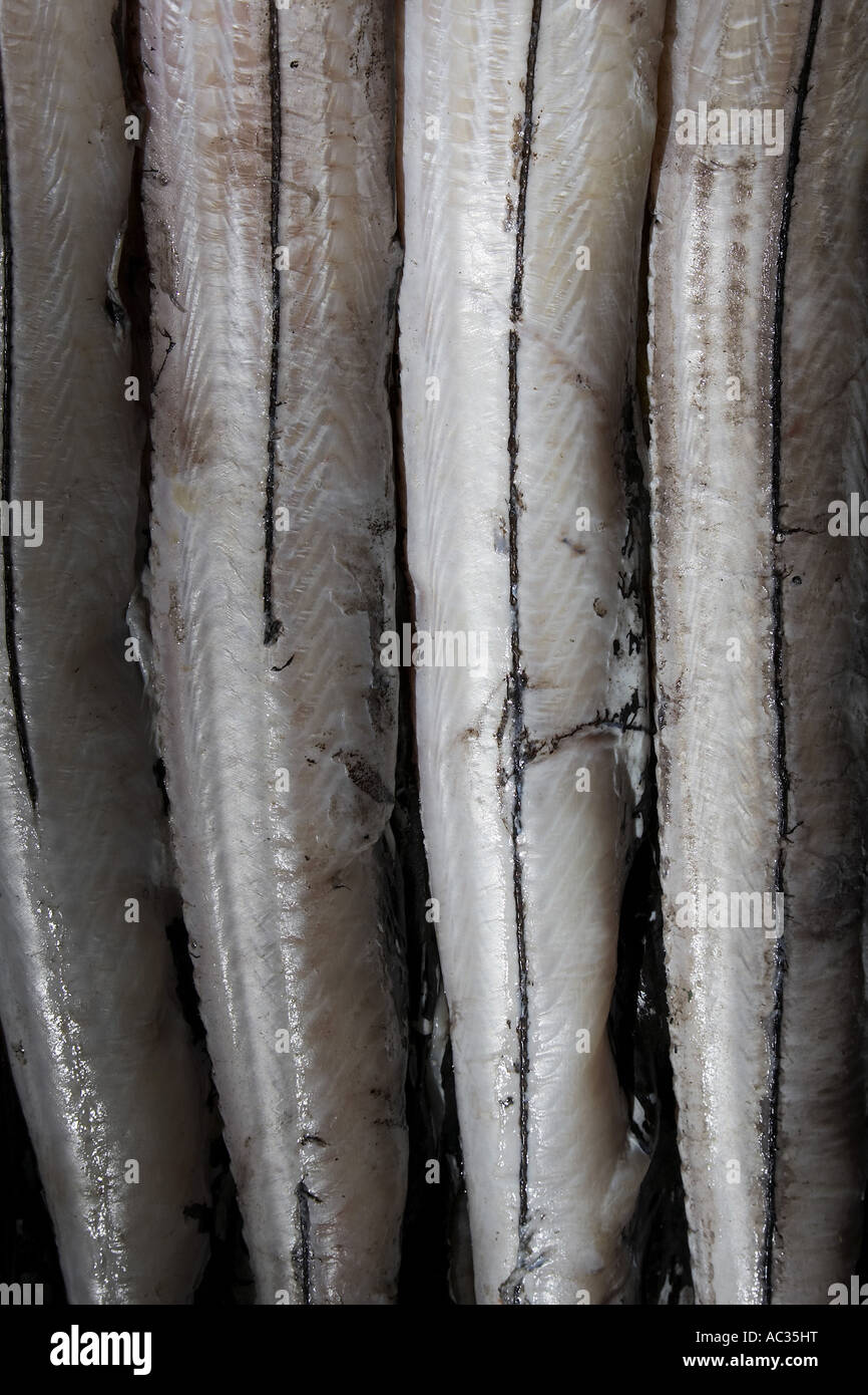 Atlantic cutlassfish, large-eyed hairtail, large-head hairtail, largehead hairtail (Trichiurus lepturus), at the fish market, P Stock Photo
