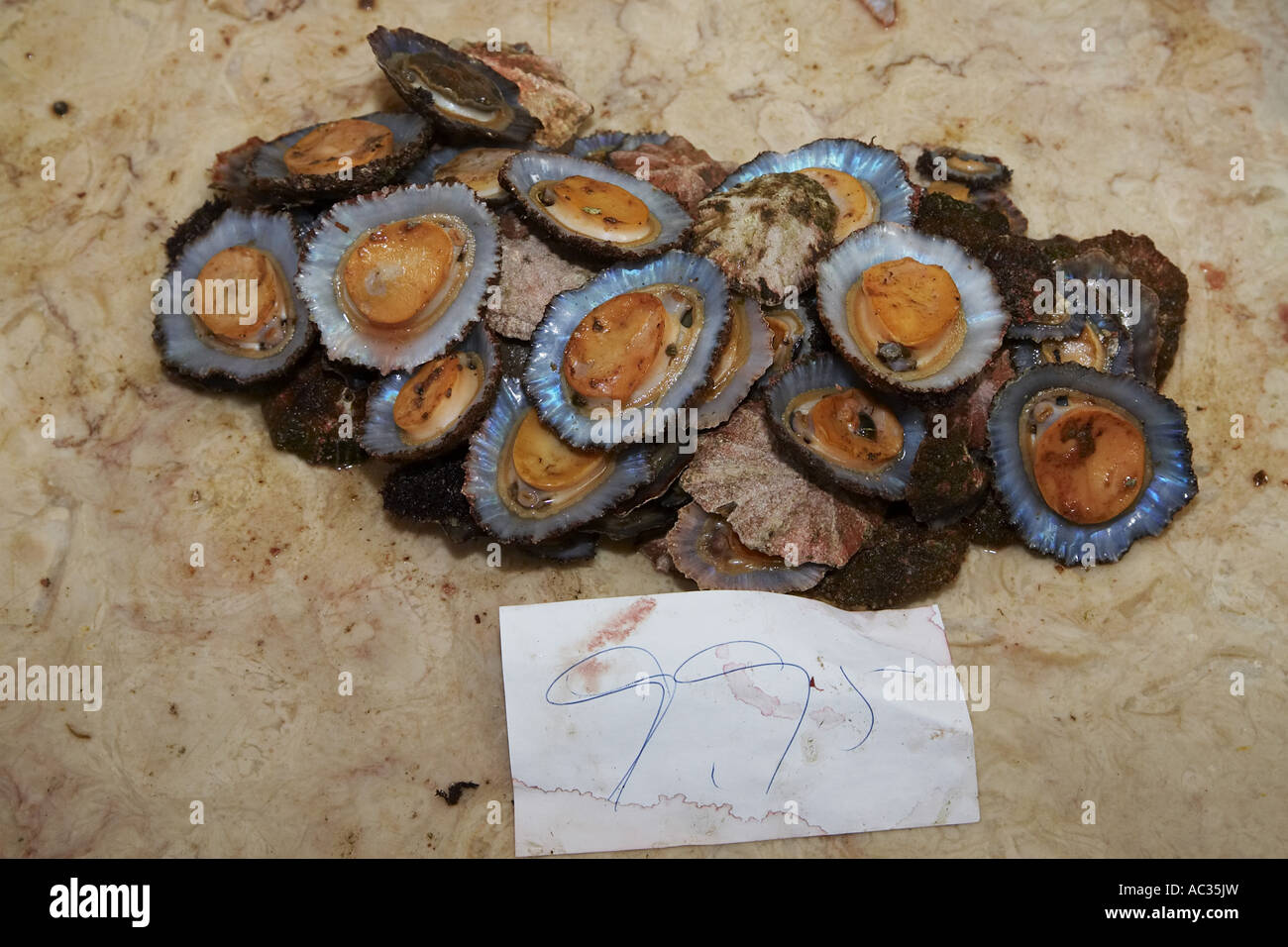 limpets, true limpets (Patellidae), limpets at the fish market, Portugal, Madeira, Funchal Stock Photo