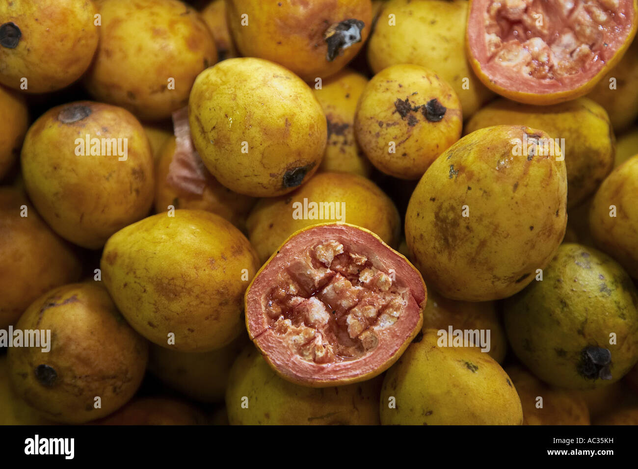 pineapple guava (Acca sellowiana), fruit market, Portugal, Madeira, Funchal Stock Photo