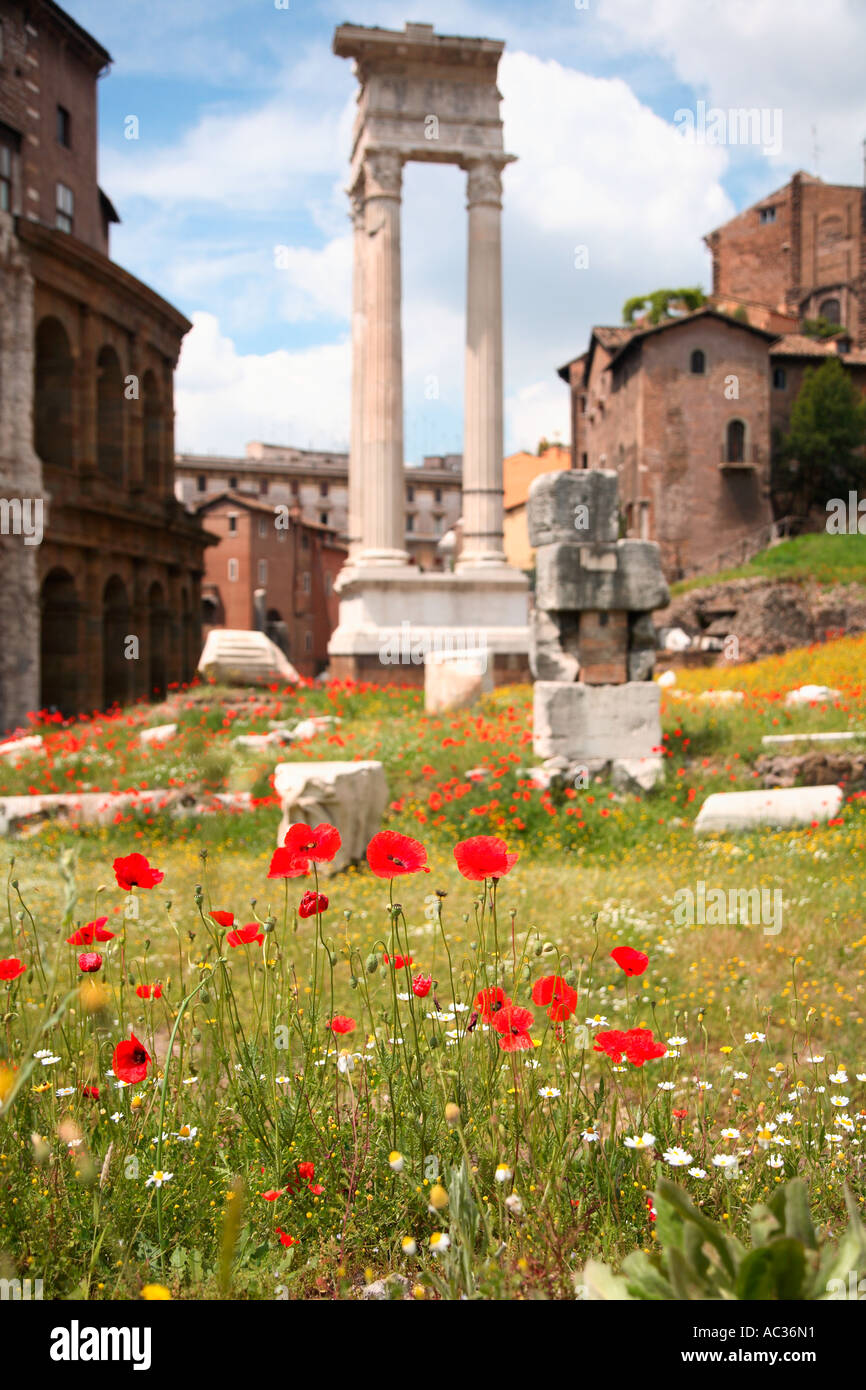 Travel photography from Italy Rome Rom Roma Teatro di Marcello columns colums history past Stock Photo