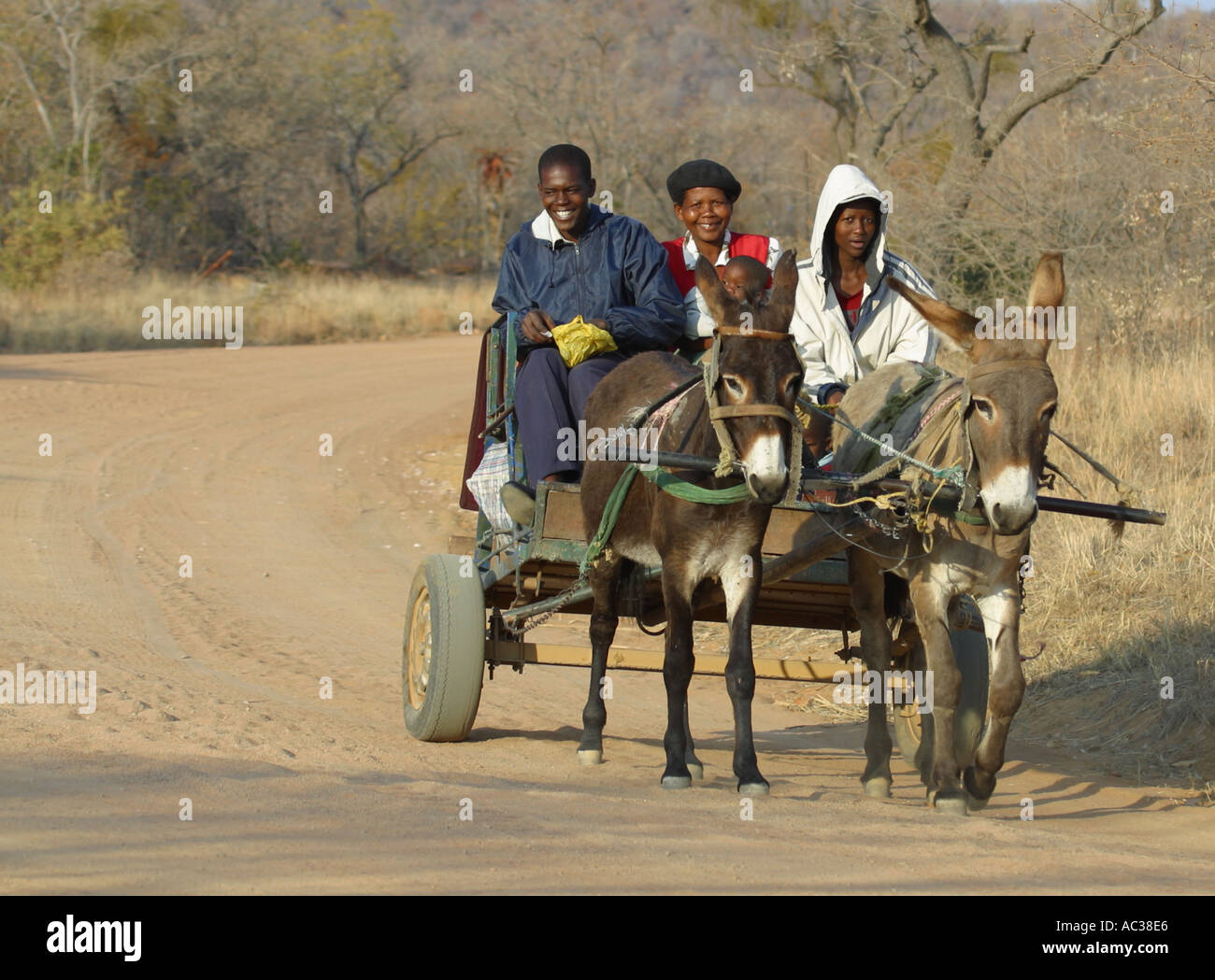 Donkey cart with passengers on rural road in south africa Stock Photo