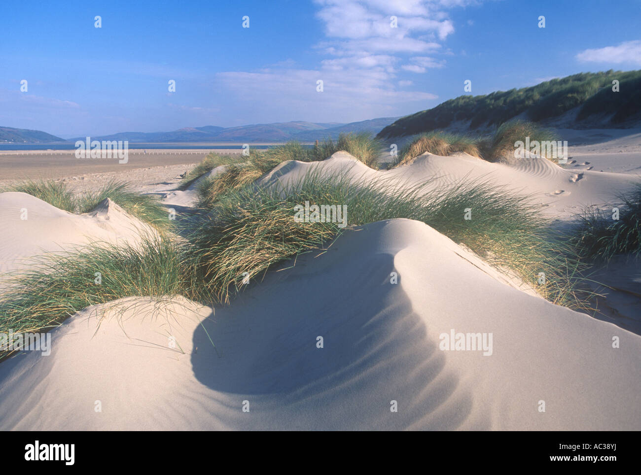 Sand Dunes on Beach, Ynyslas, West Wales , UK Stock Photo Alamy