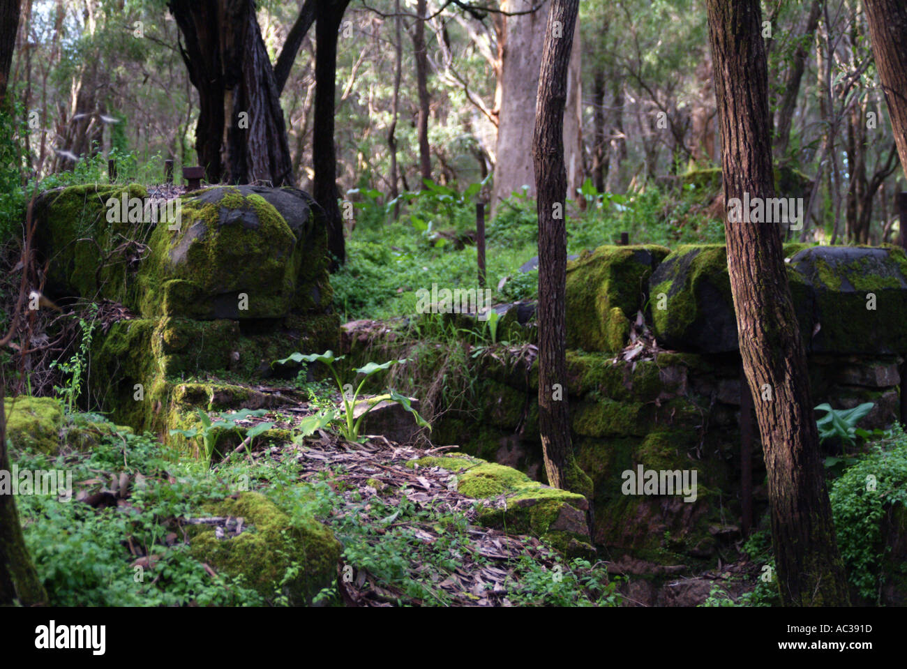 Borenup mill site Margaret River Western Australia Stock Photo