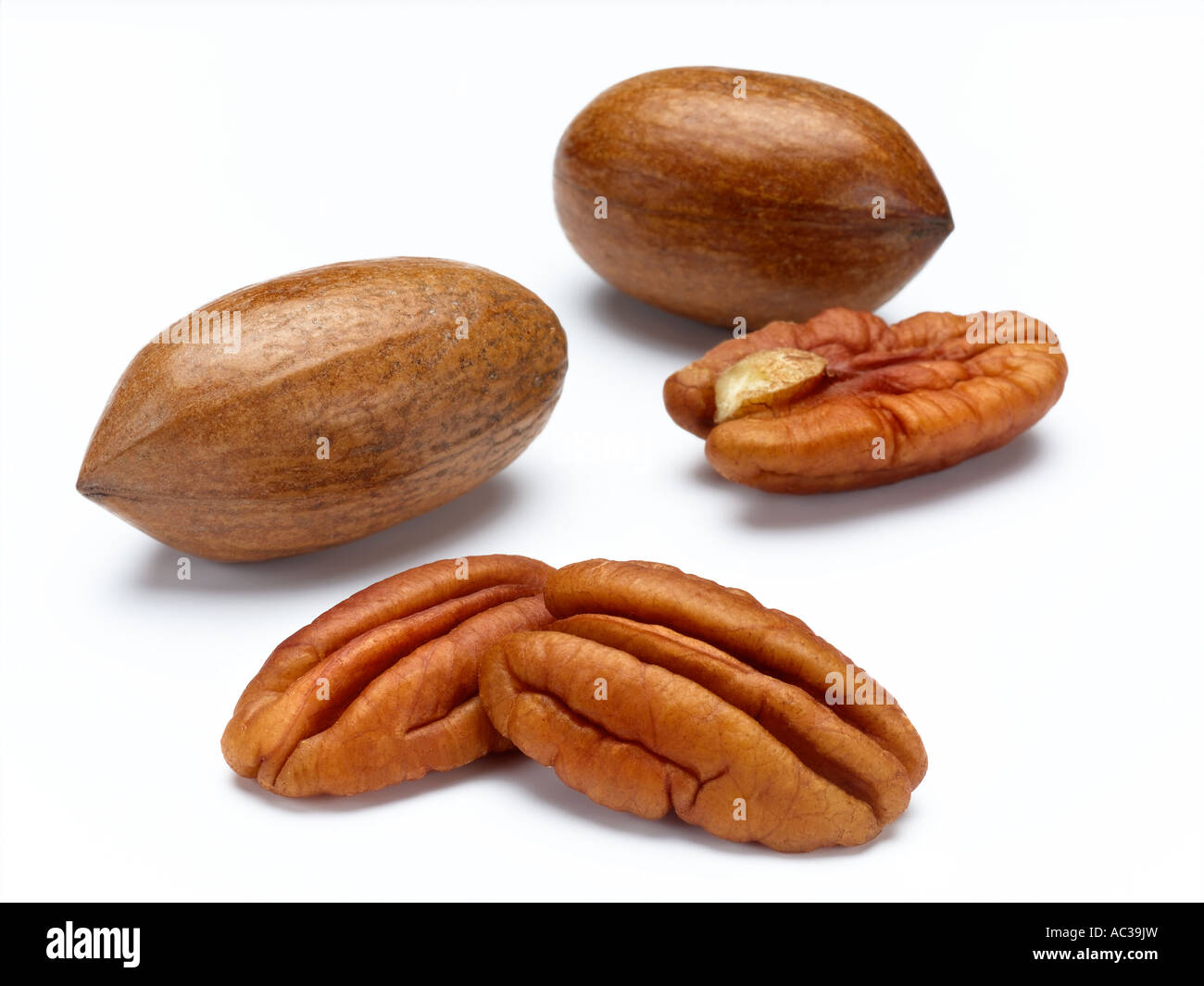 Alabama state nut hires stock photography and images Alamy