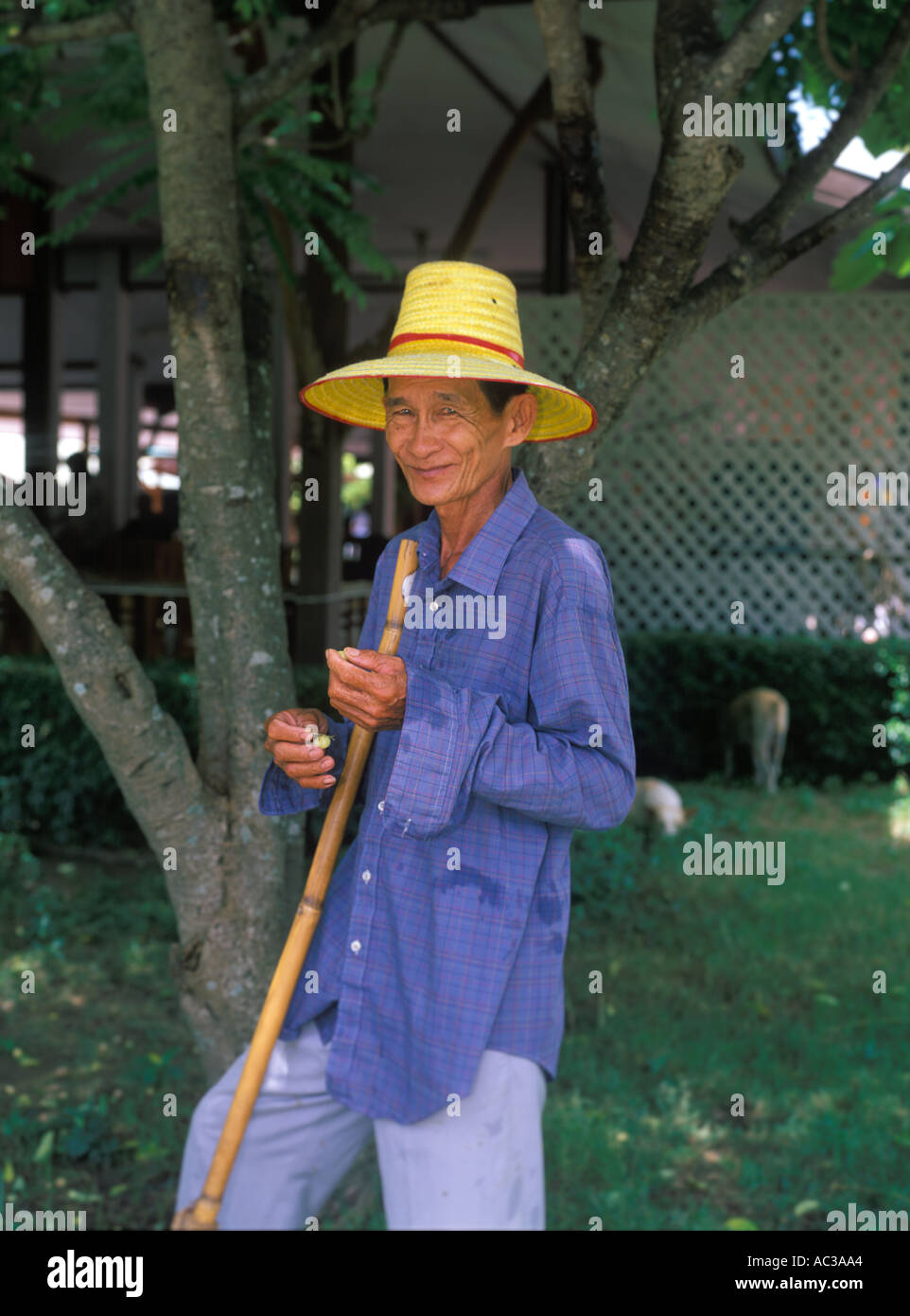 An old Thai farmer under the shade holding a wooden bamboo walking stick smiling towards the camera, Bangkok, Thailand, Asia Stock Photo