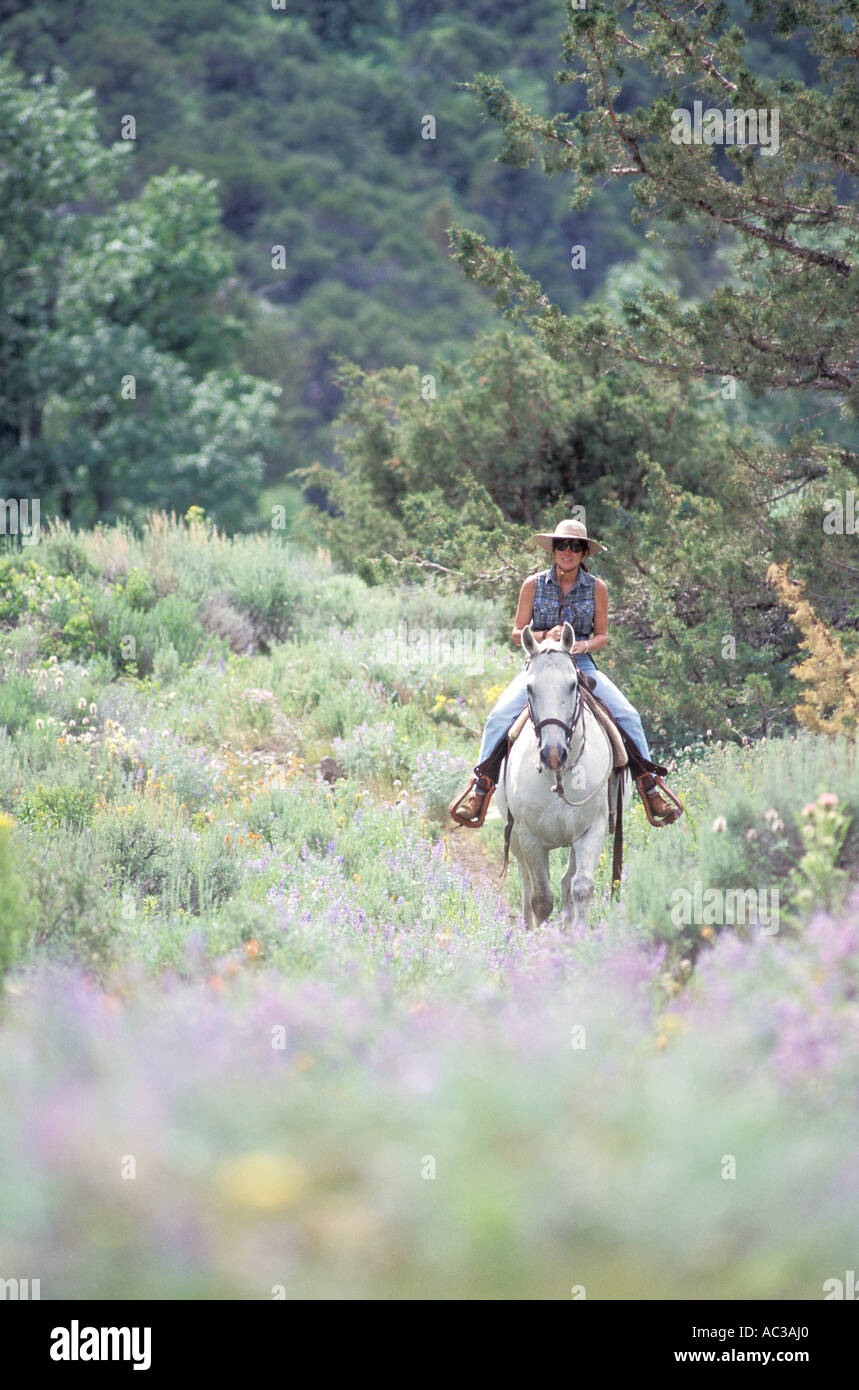 Horseback Rider Coming Through Brush Stock Photo