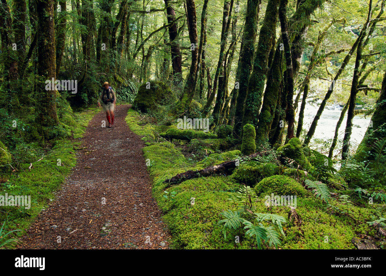 Milford Track, Fiordland National Park, South Island, New Zealand, horizontal Stock Photo