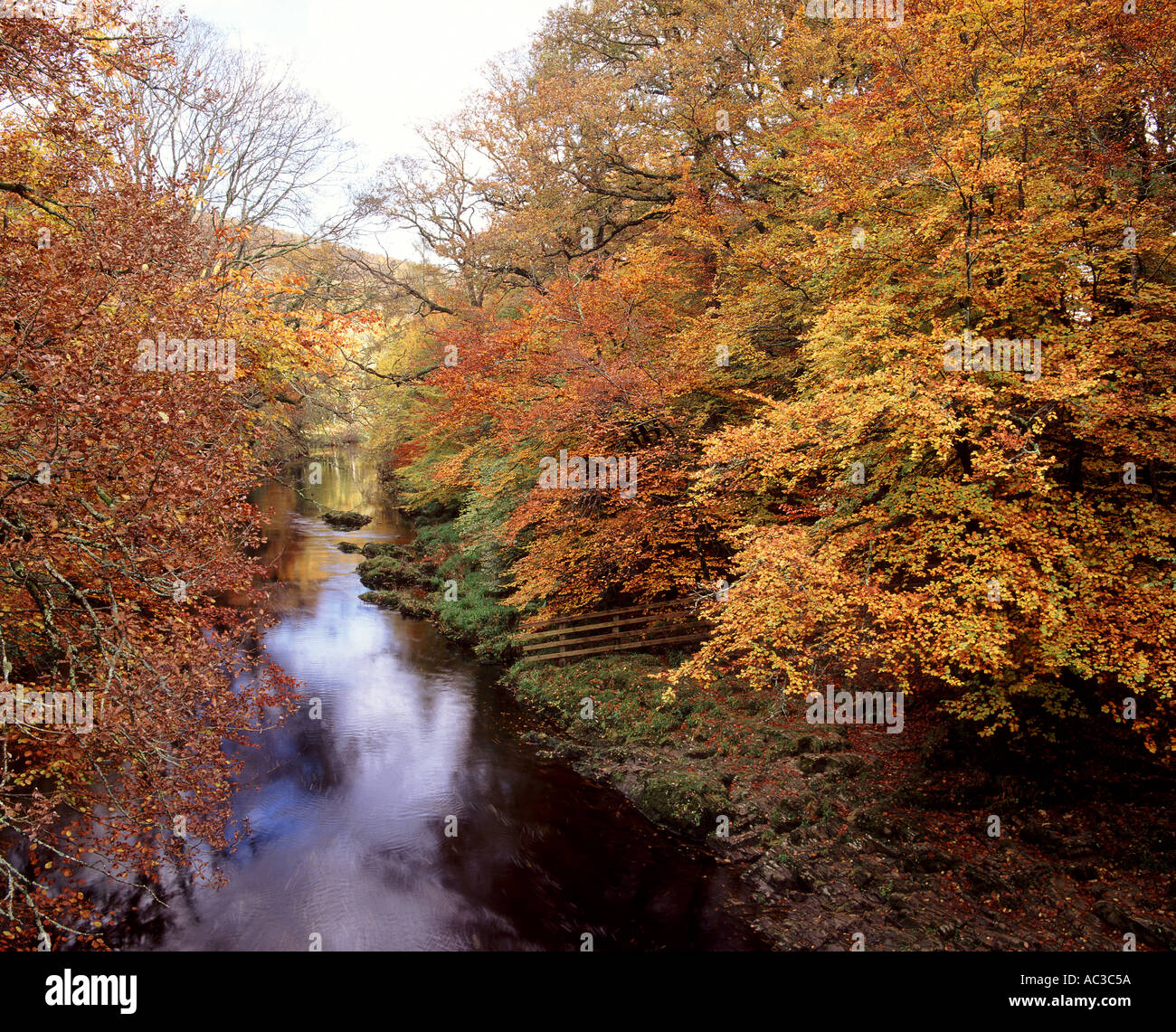 The River Dart near Ashburton in autumn Dartmoor National Park Devon Great Britain Stock Photo
